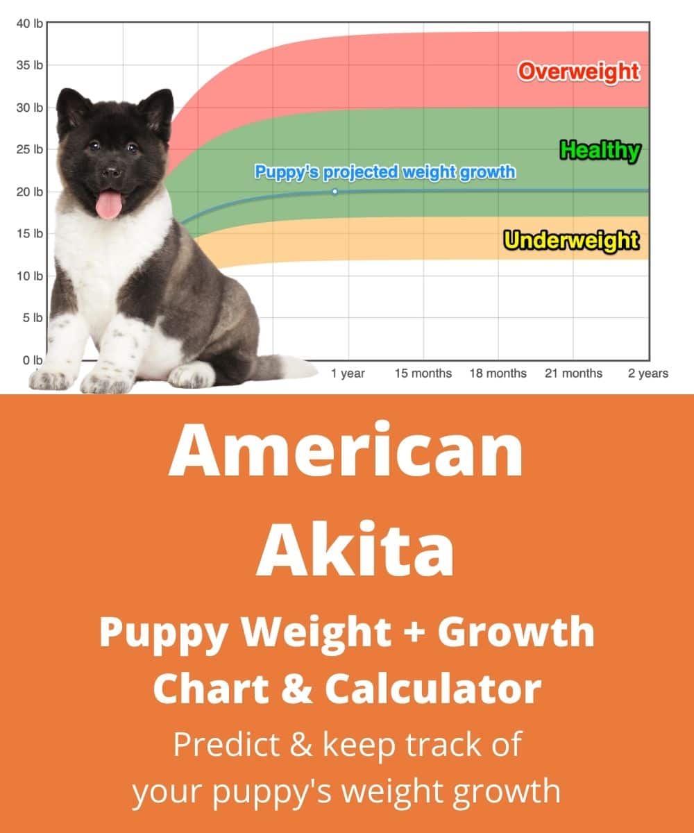 american-akita Puppy Weight Growth Chart american-akita Puppy Weight Growth Chart